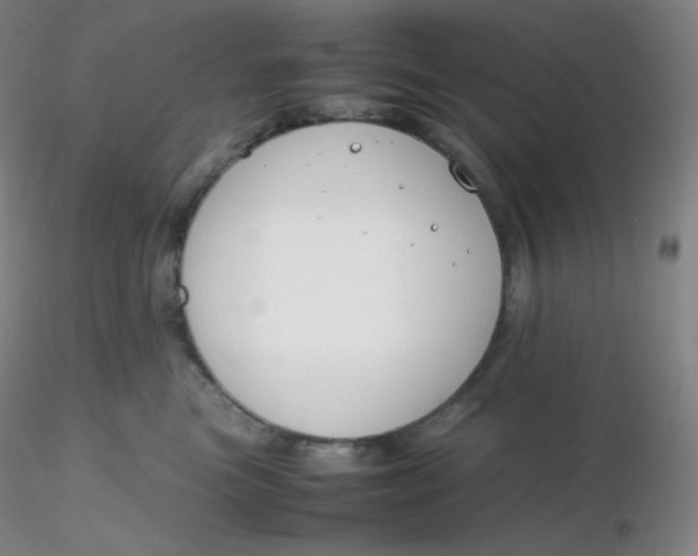 X0000116310473200912211926