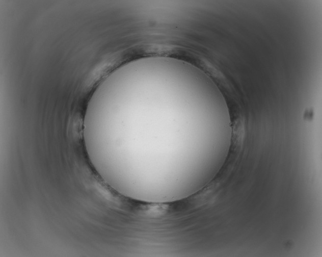 X0000116310474200912211926