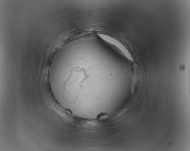 X0000116310475200912211926