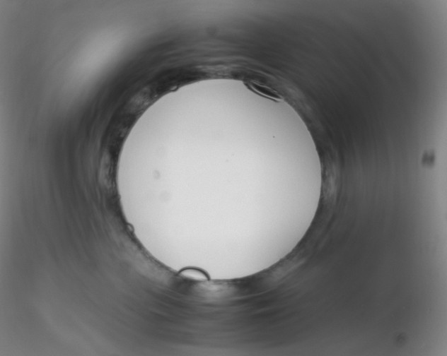 X0000116310477200912211926