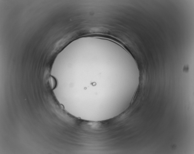 X0000116310478200912211926