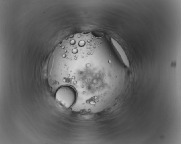 X0000116310479200912211926