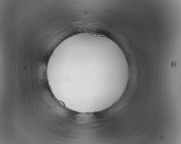 X0000116310480200912211926