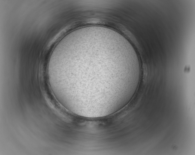 X0000116310482200912211926