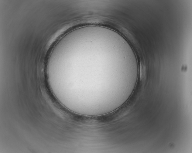 X0000116310483200912211926