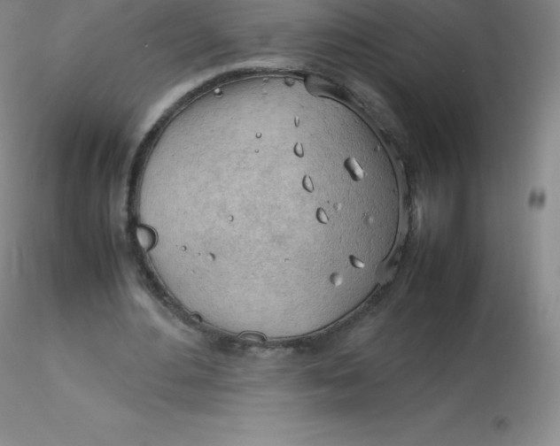 X0000116310484200912211926