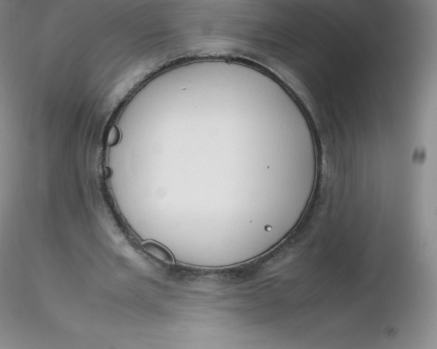 X0000116310485200912211926