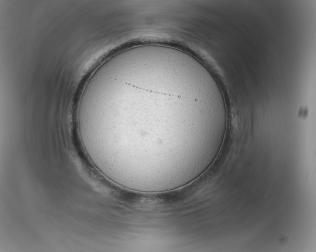 X0000116310487200912211926