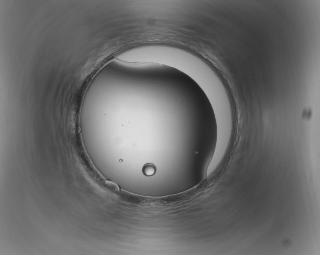 X0000116310489200912211926