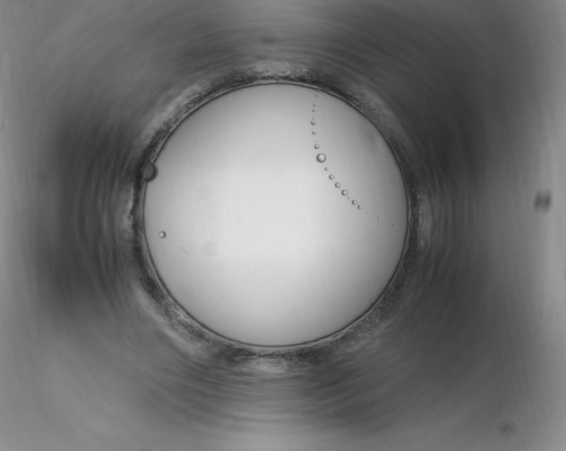 X0000116310490200912211926