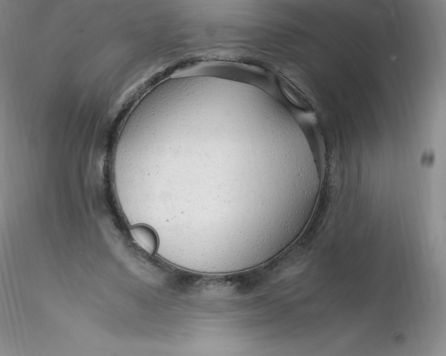 X0000116310491200912211926