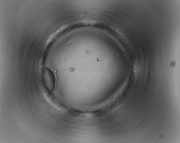 X0000116310492200912211926