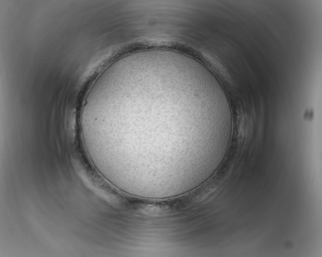 X0000116310494200912211925