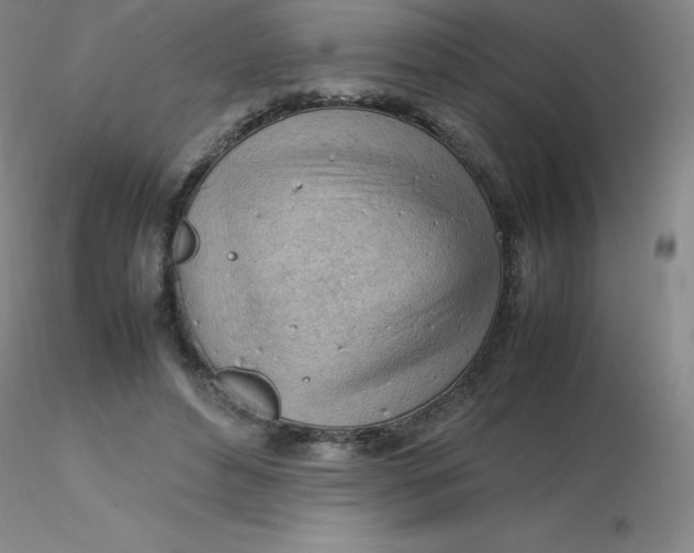 X0000116310496200912211925