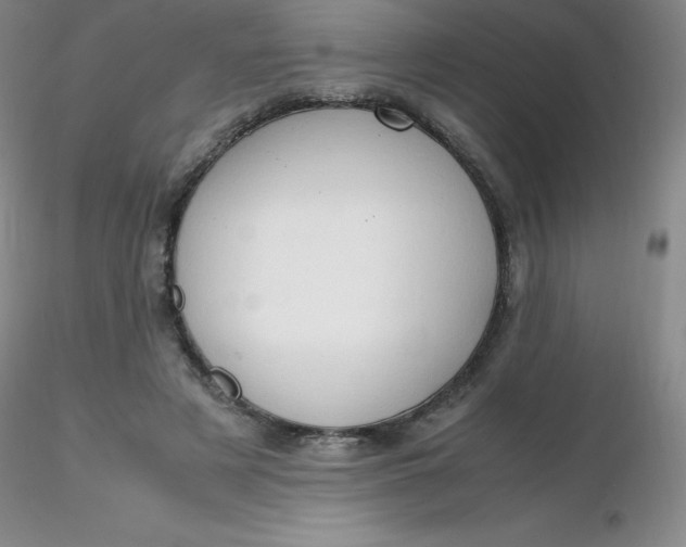 X0000116310497200912211925