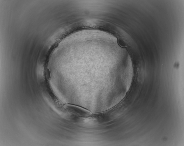 X0000116310500200912211925