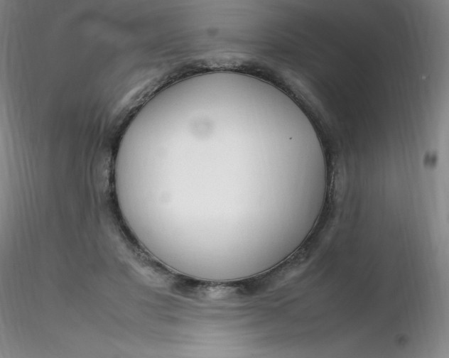 X0000116310501200912211925