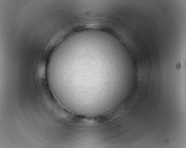 X0000116310502200912211925