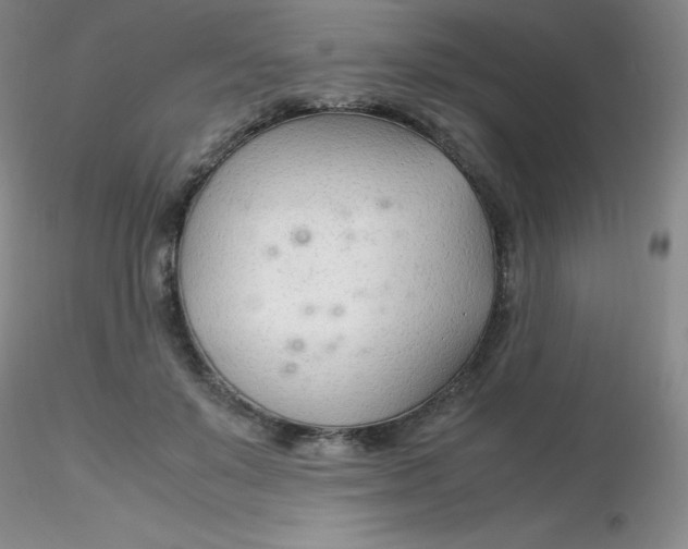 X0000116310503200912211925