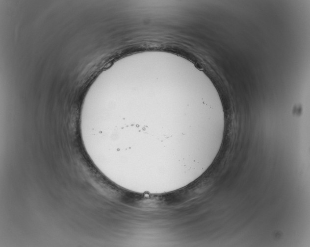 X0000116310505200912211925