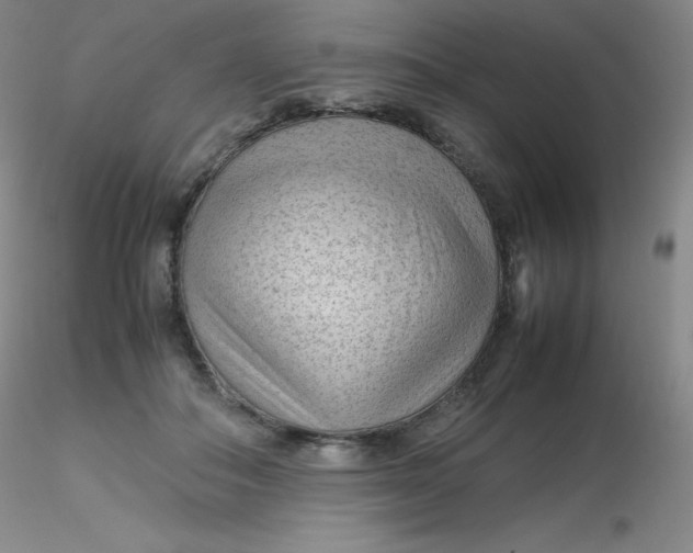 X0000116310506200912211925