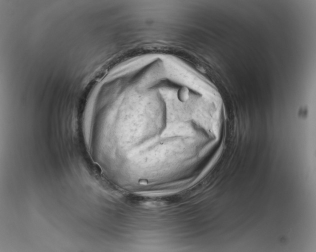 X0000116310508200912211925