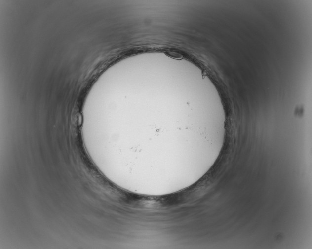 X0000116310509200912211925