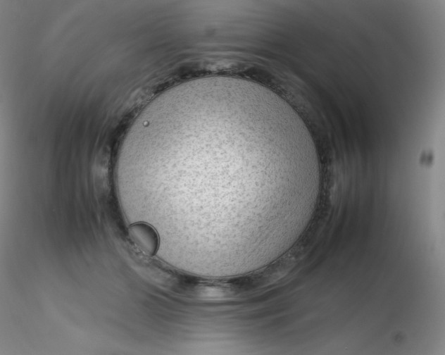 X0000116310510200912211925