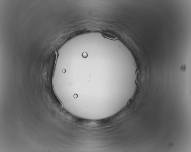 X0000116310513200912211925