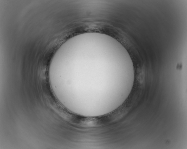 X0000116310514200912211925