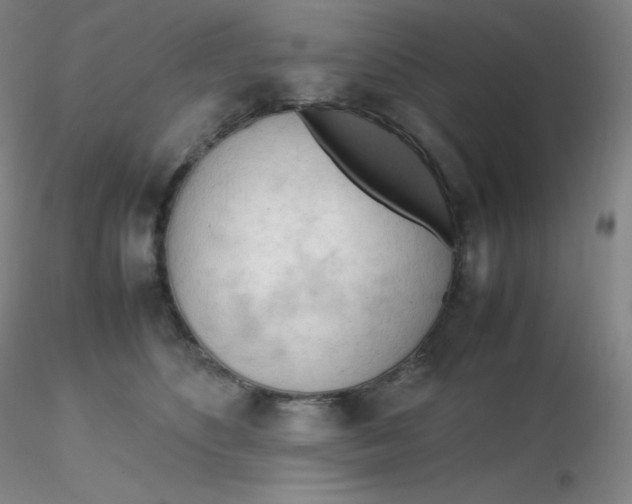 X0000116310516200912211925