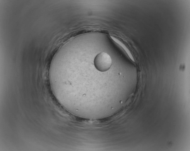 X0000116310517200912211925