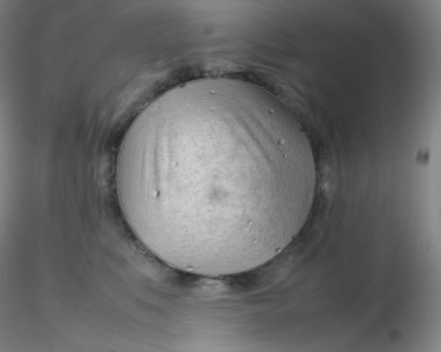 X0000116310519200912211925