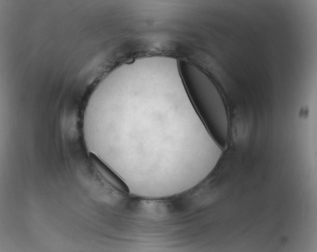 X0000116310520200912211925