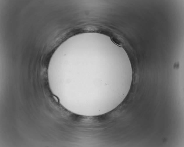 X0000116310521200912211925