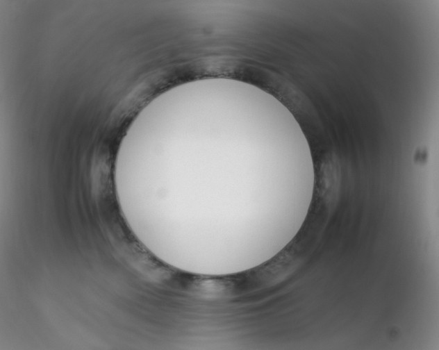 X0000116310522200912211925