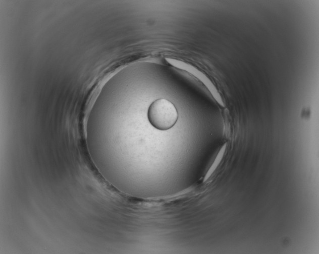 X0000116310524200912211925