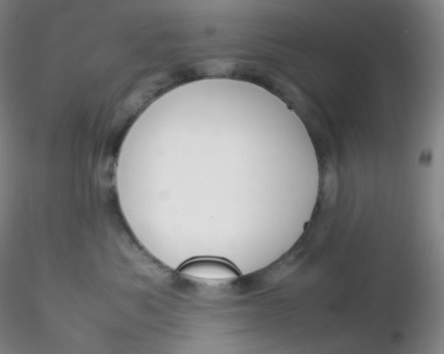 X0000116310525200912211925