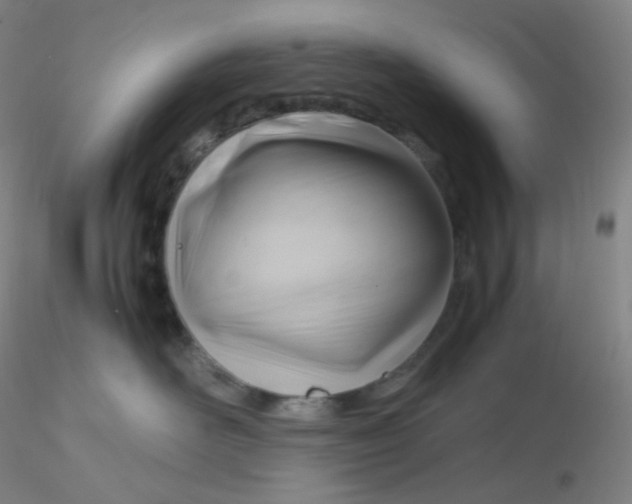 X0000116310526200912211925