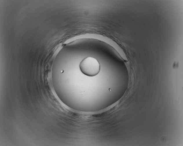 X0000116310528200912211925