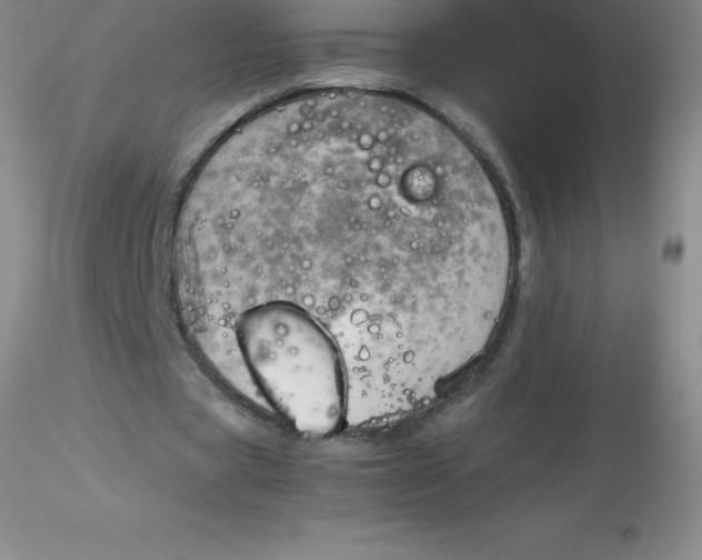 X0000116310529200912211924