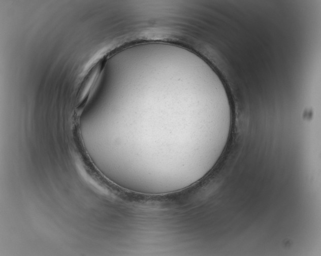 X0000116310530200912211924