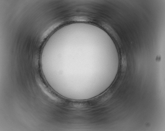 X0000116310533200912211924