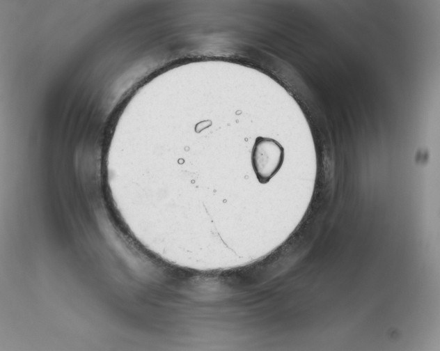 X0000116310534200912211924