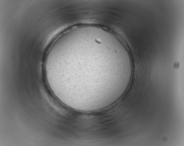 X0000116310535200912211924