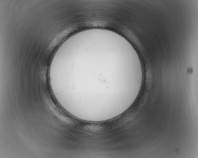 X0000116310537200912211924