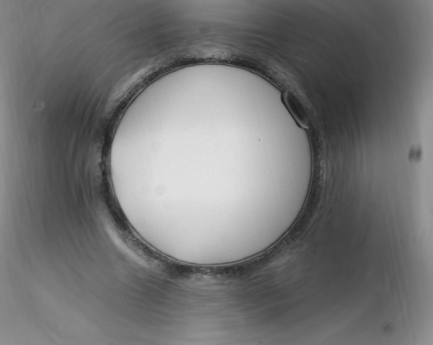 X0000116310538200912211924