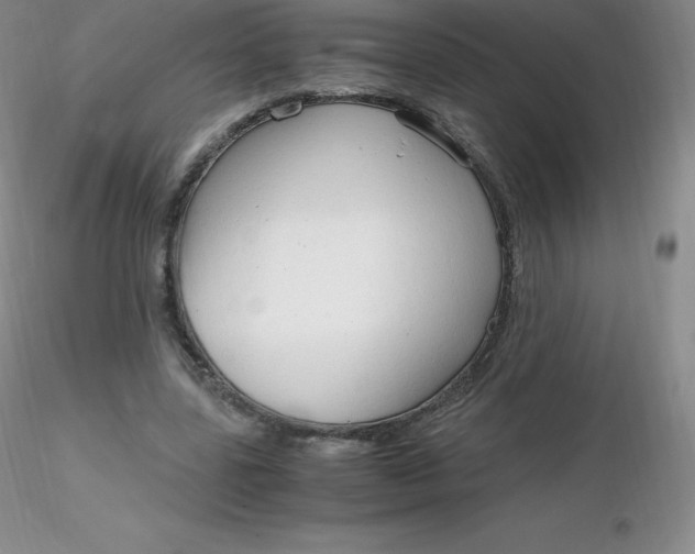 X0000116310539200912211924