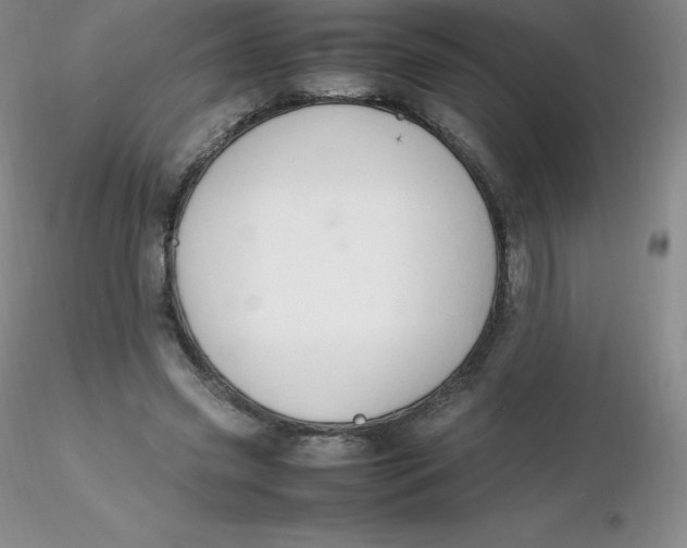 X0000116310541200912211924