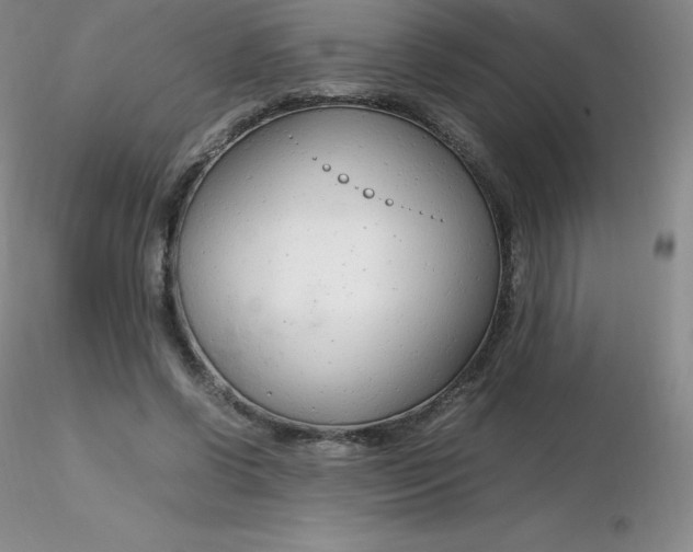 X0000116310542200912211924